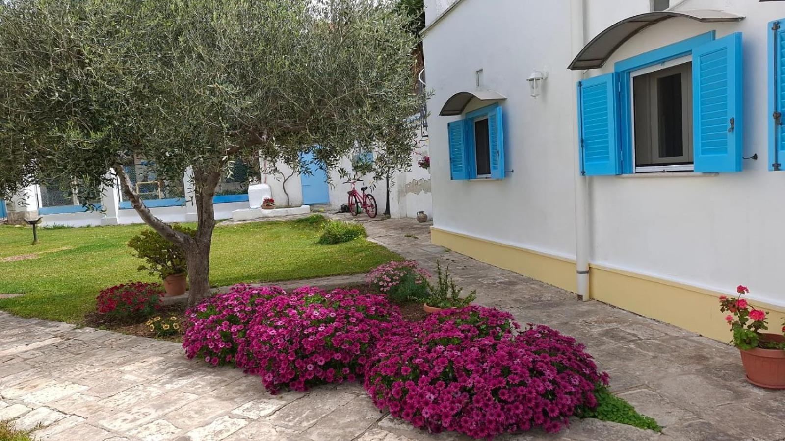 Villino Tronchetto Bianco Bed & Breakfast โมลา ดิ บารี ภายนอก รูปภาพ