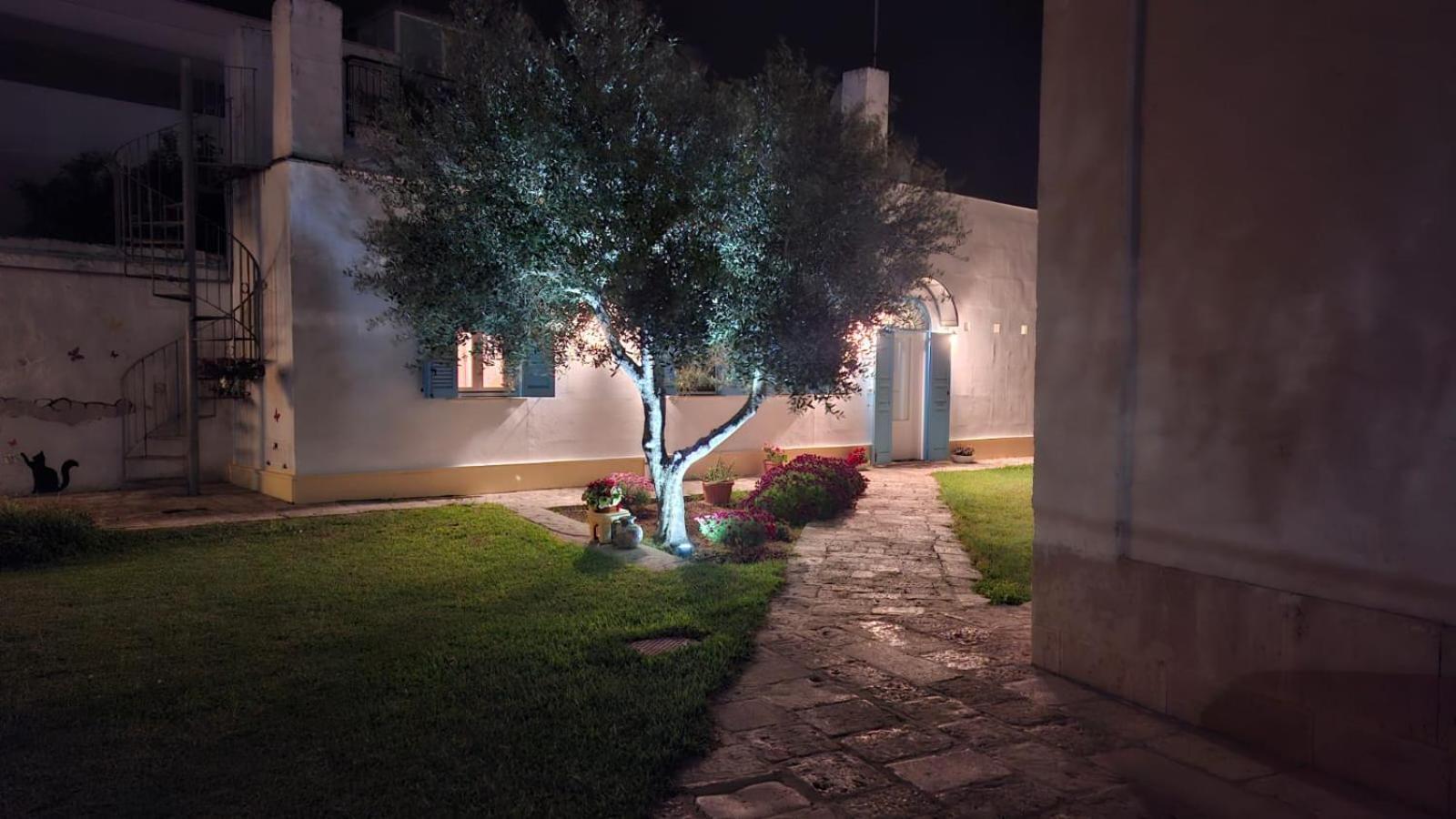 Villino Tronchetto Bianco Bed & Breakfast โมลา ดิ บารี ภายนอก รูปภาพ